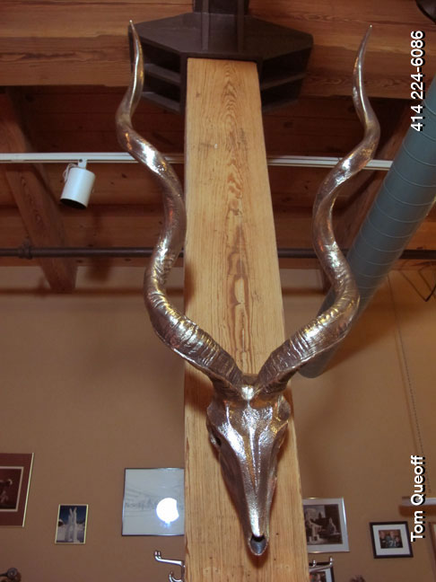 Our creative production line and skills are displayed by the Kudu skull, a kind of African décor Kudu skull African